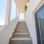 The Center Penthouse By Ps *